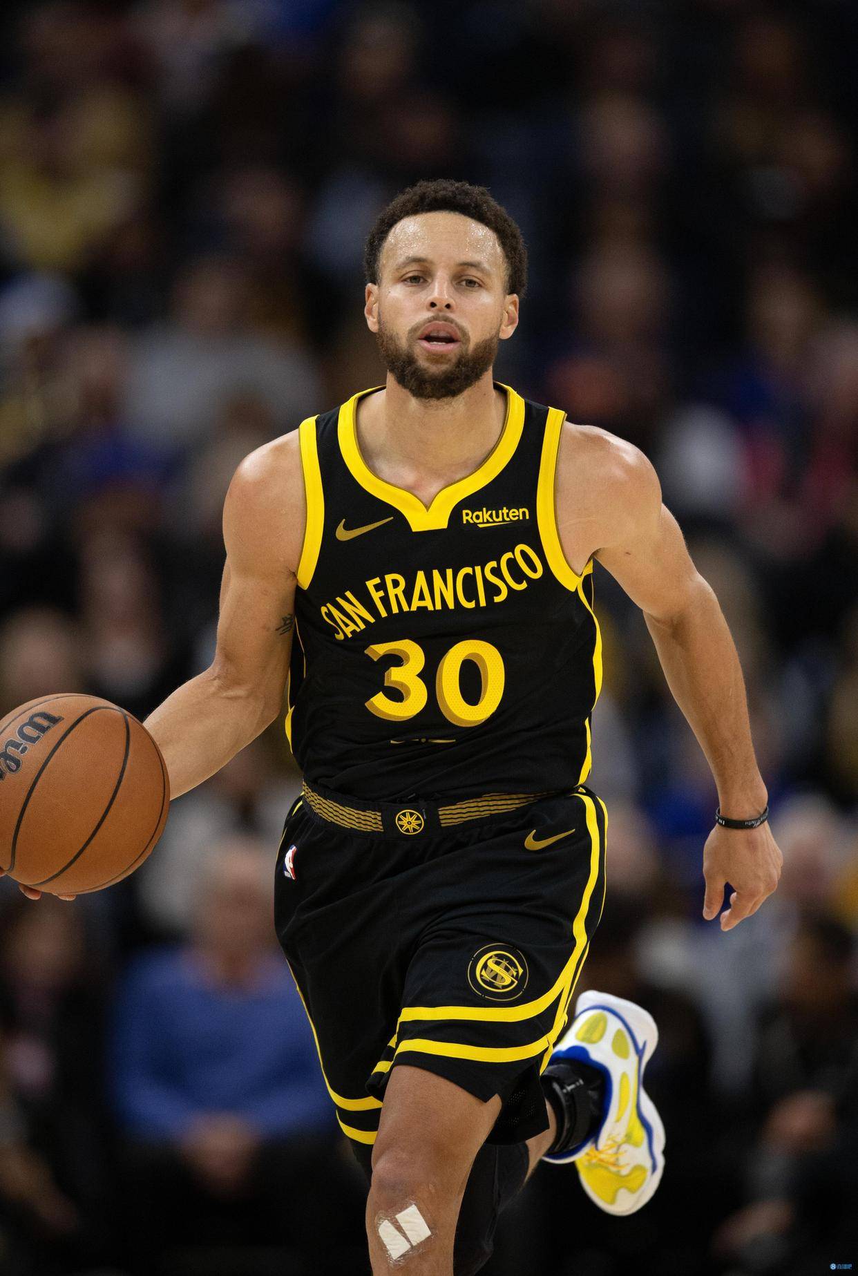 伦敦奥运马术冠军情侣同日安乐谢世：20年相伴 共创所有世界级赛事辉煌（相伴二十年的伦敦奥运马术冠军伴侣同日安乐离世，在世界级赛场共铸辉煌）